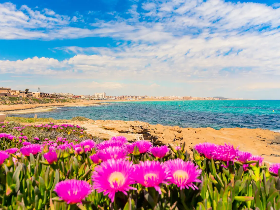 Location de Vacances Torrevieja 104