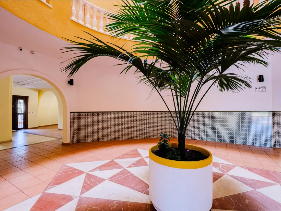 Location de Vacances Torrevieja 110