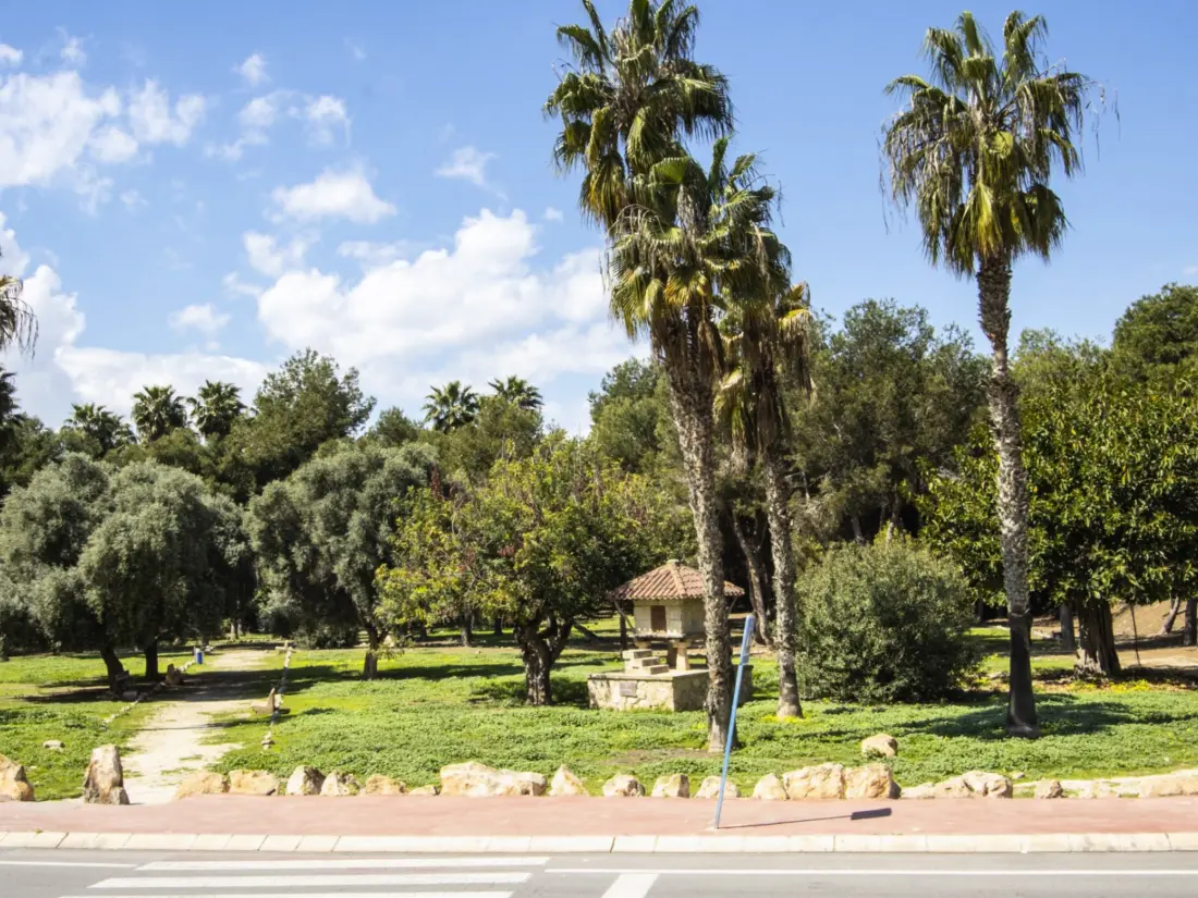 Location de Vacances Torrevieja 119