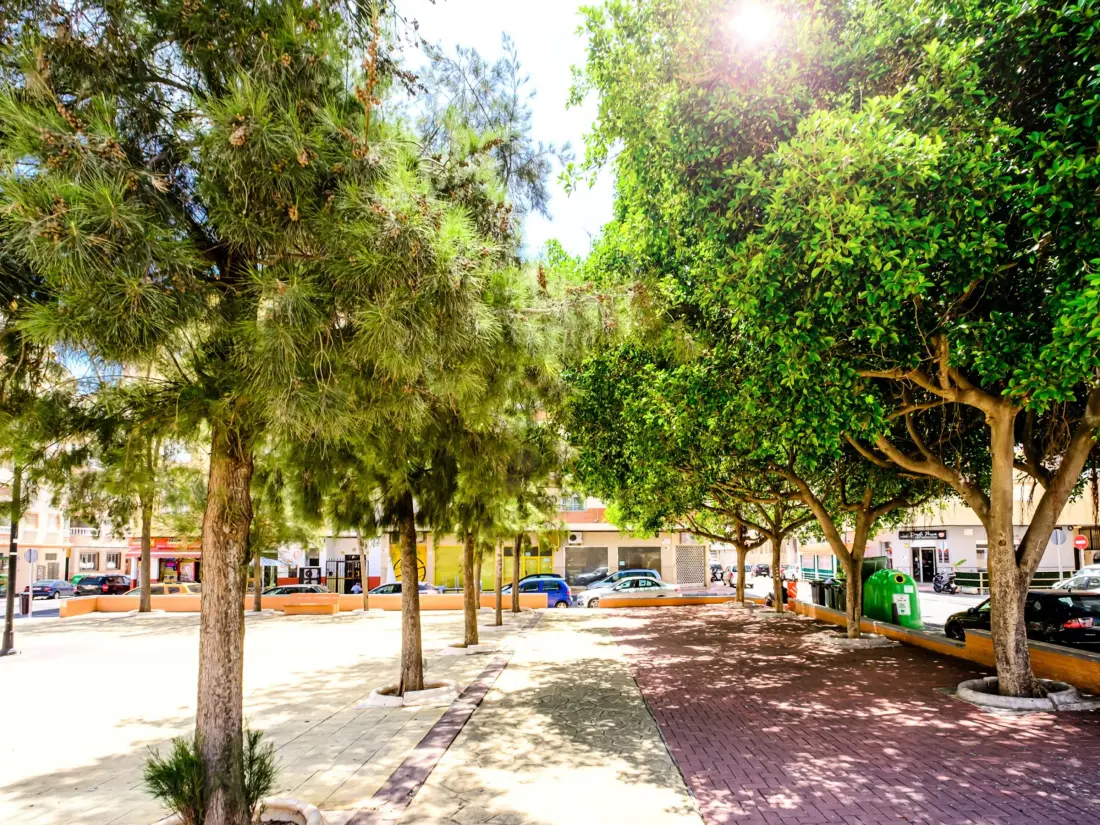 Location de Vacances Torrevieja 138