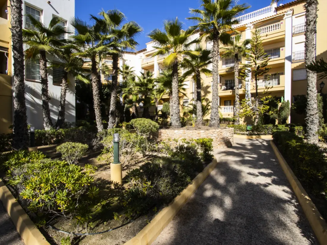 Location de Vacances Torrevieja 191