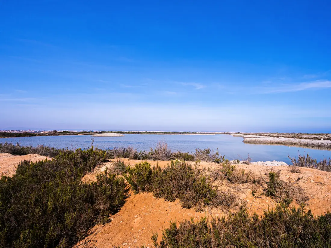 Location de Vacances Torrevieja 196