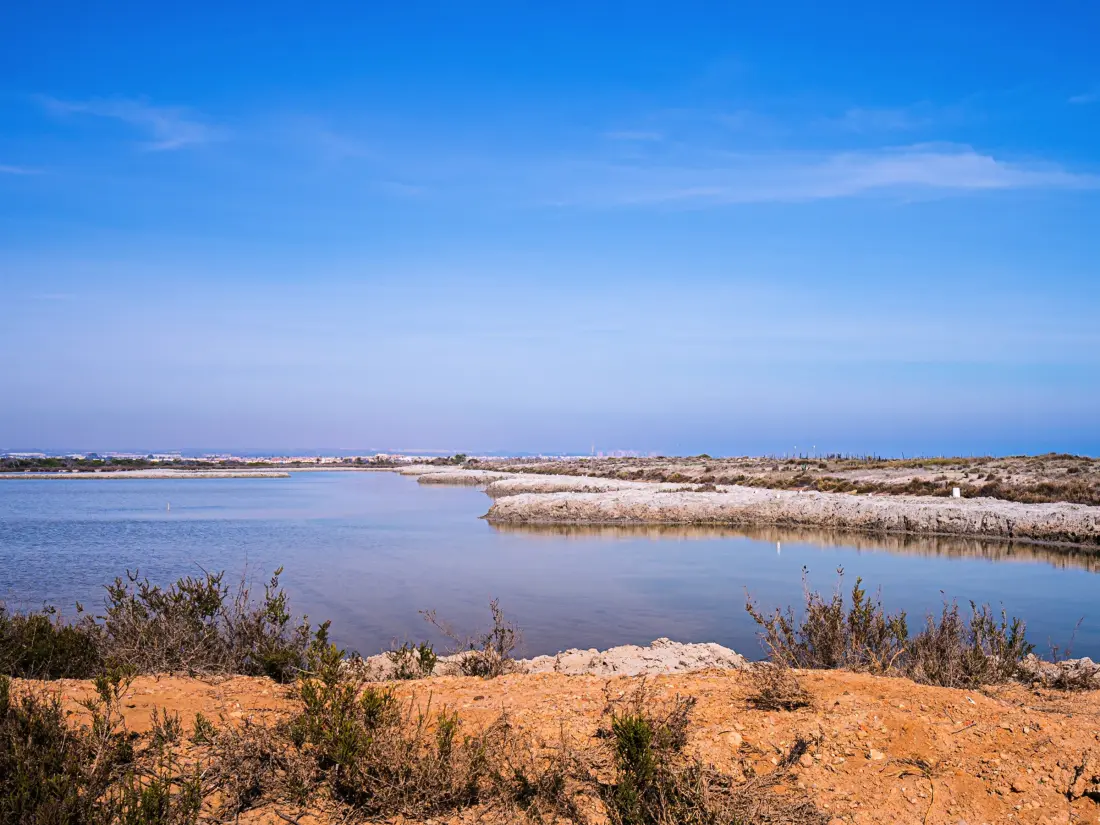 Location de Vacances Torrevieja 196