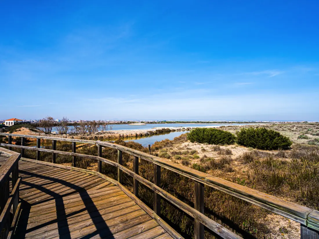 Location de Vacances Torrevieja 196