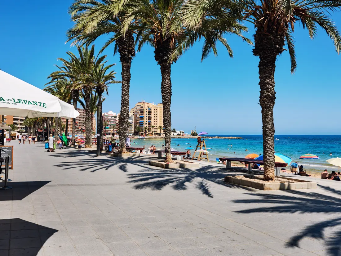 Location de Vacances Torrevieja 234