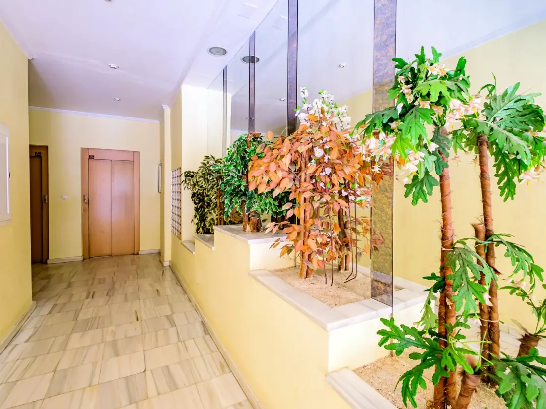 Location de Vacances Torrevieja 86