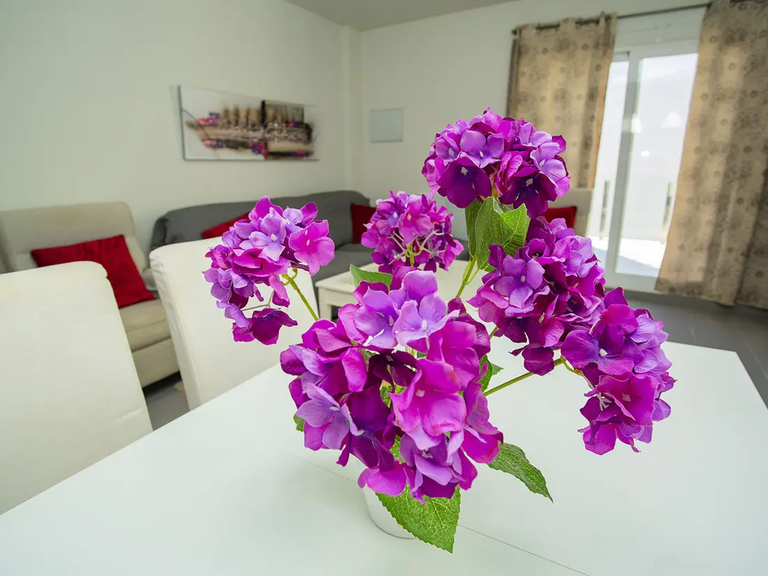 Maison de Vacances Torrevieja 209