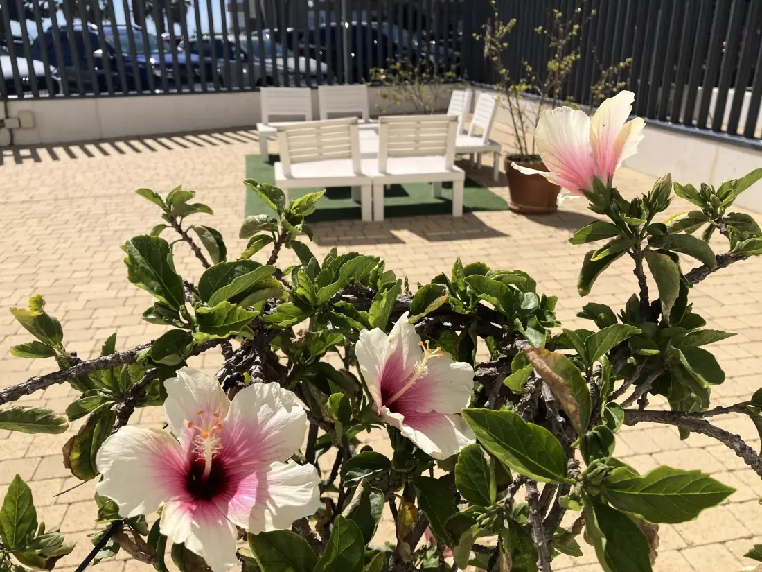 Location de Vacances Torrox Costa 93