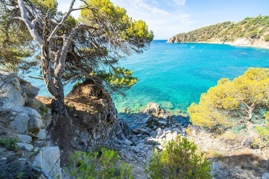 Camping Cala LLevado