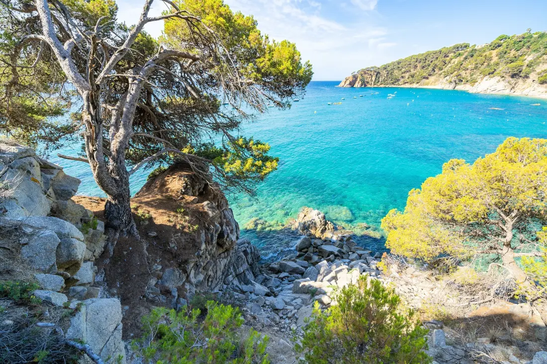 Camping Cala Llevado 4 étoiles★★★★