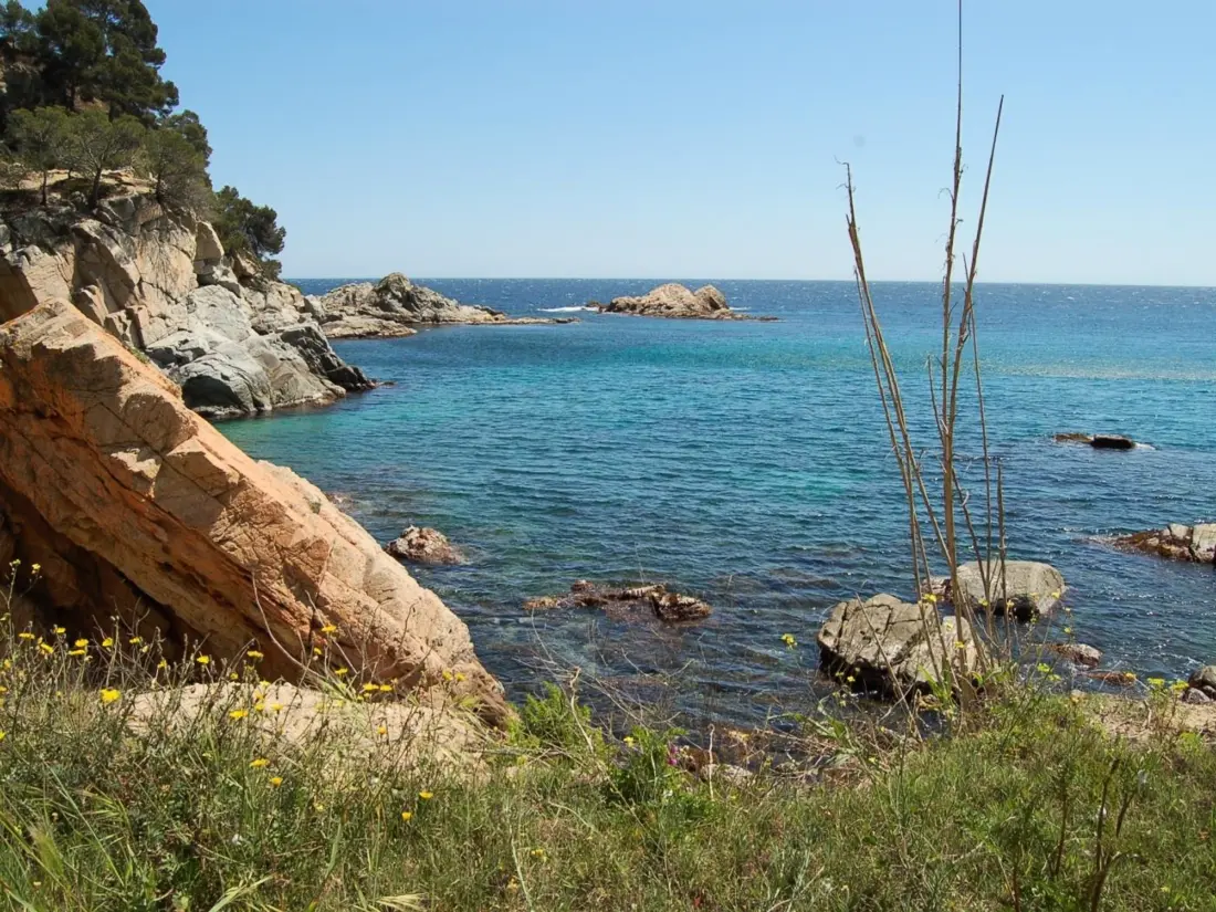 Location de Vacances Tossa de Mar 110