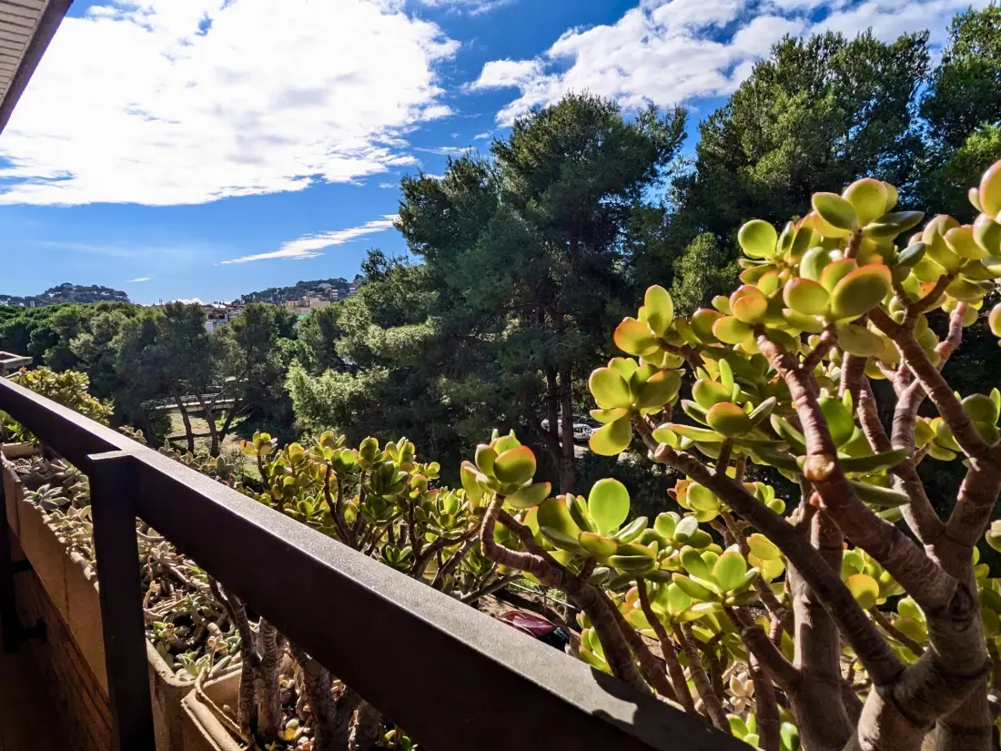 Location de Vacances Tossa de Mar 117