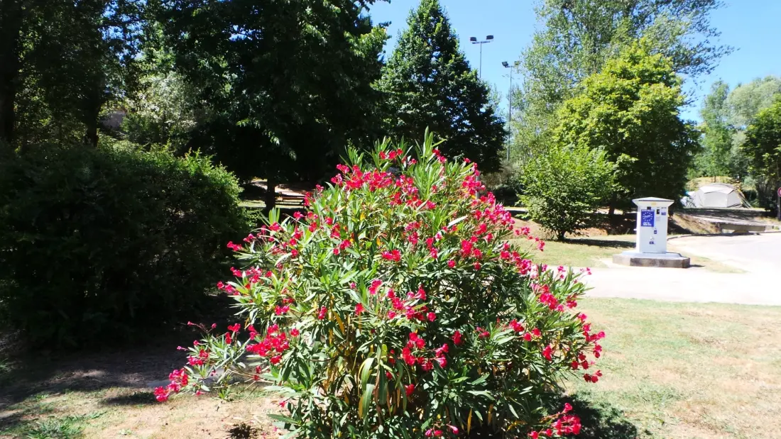 Flower Camping Du Lac De Thésauque 3 étoiles★★★