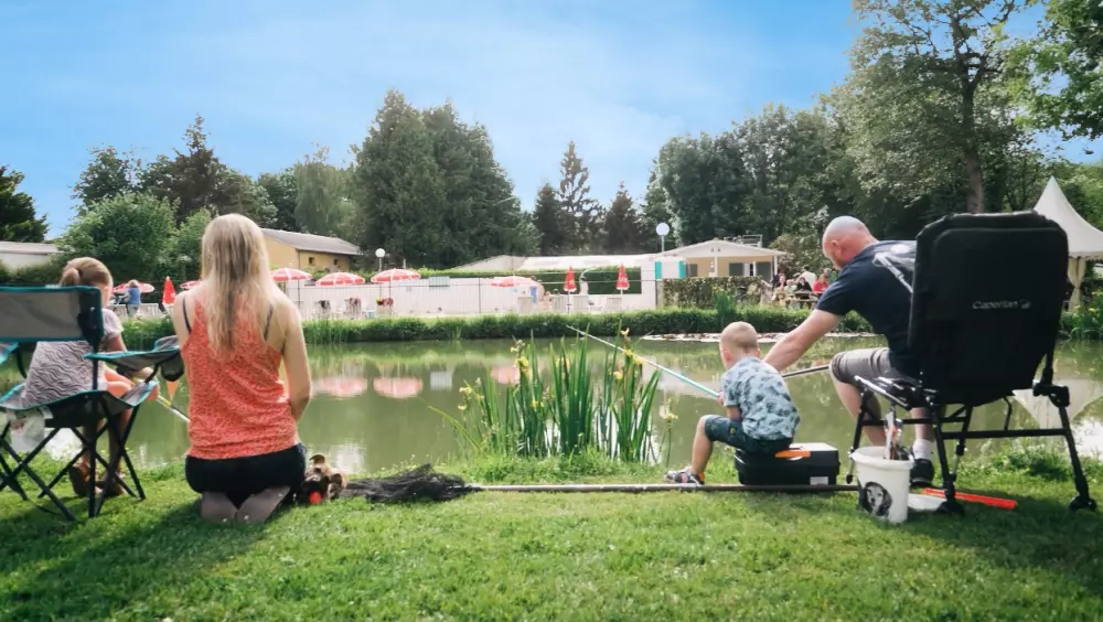 Camping Country Park Nature 41 étoiles★