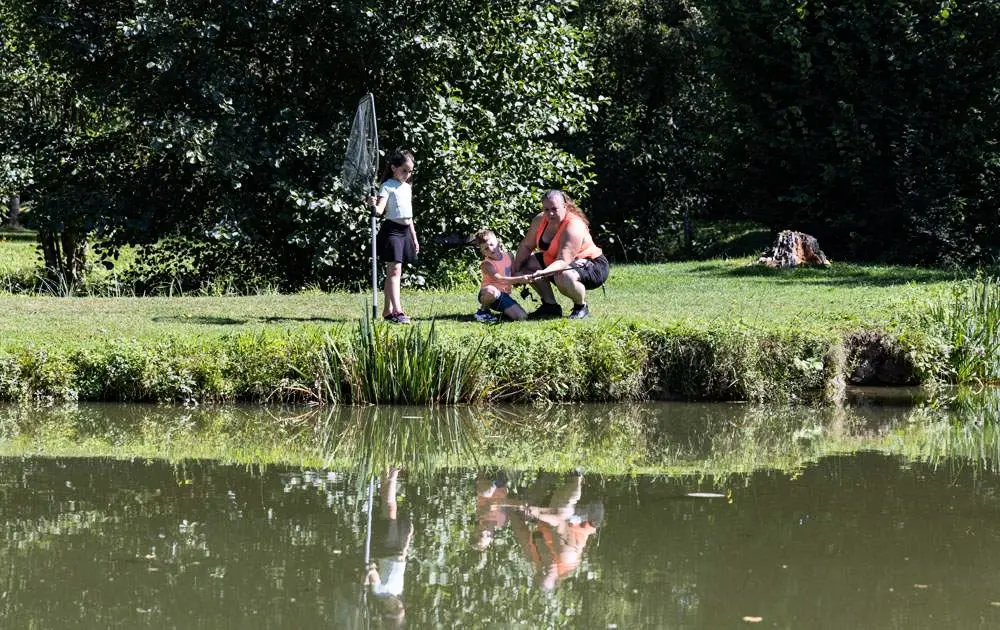 Camping Country Park 4 étoiles★★★★