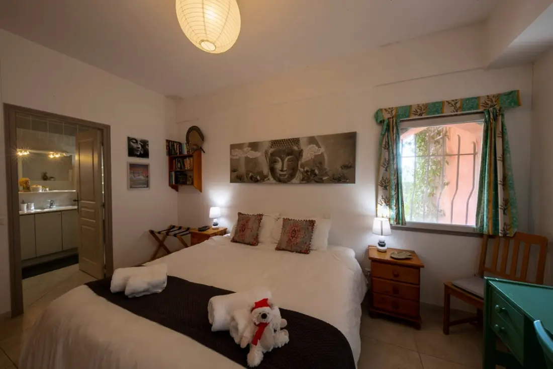 06c-villa 8 Pers Avec Piscine -arrière Pays Niçois