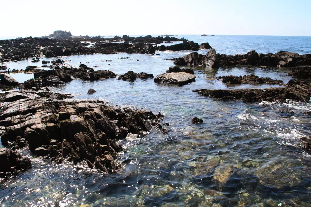 Camping Paradis Les Capucines4 étoiles★★★★