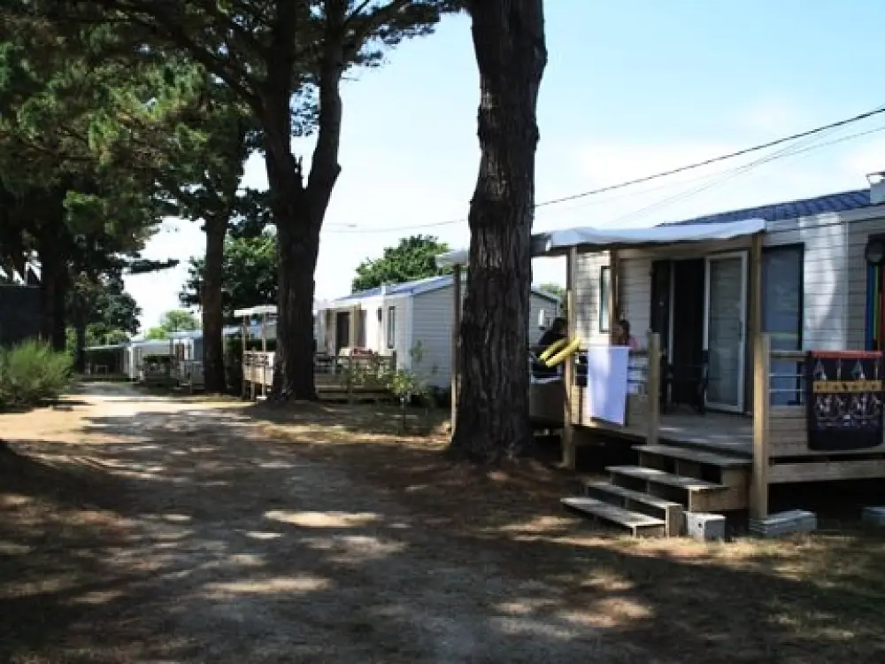 Camping Paradis Les Capucines 4 étoiles★★★★