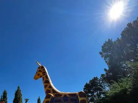 Camping Paradis Les Capucines 4 étoiles★★★★