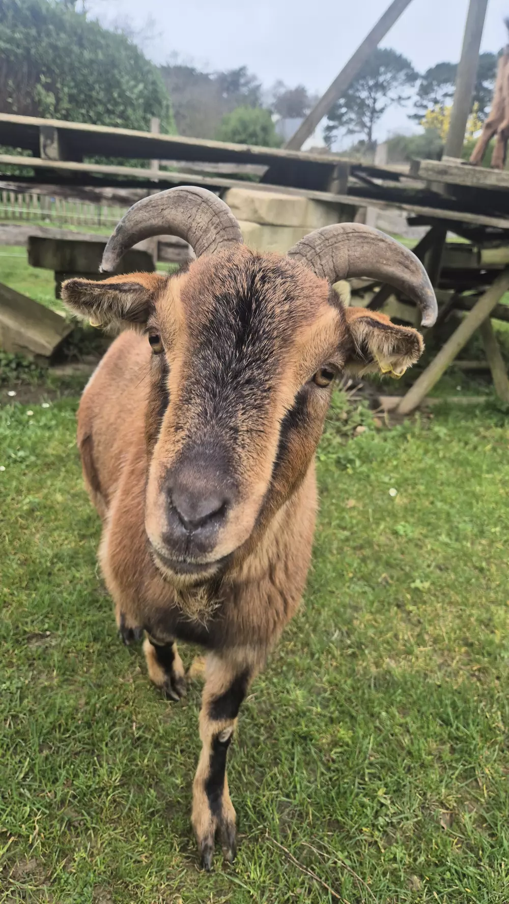 Camping Paradis Les Capucines 41 étoiles★