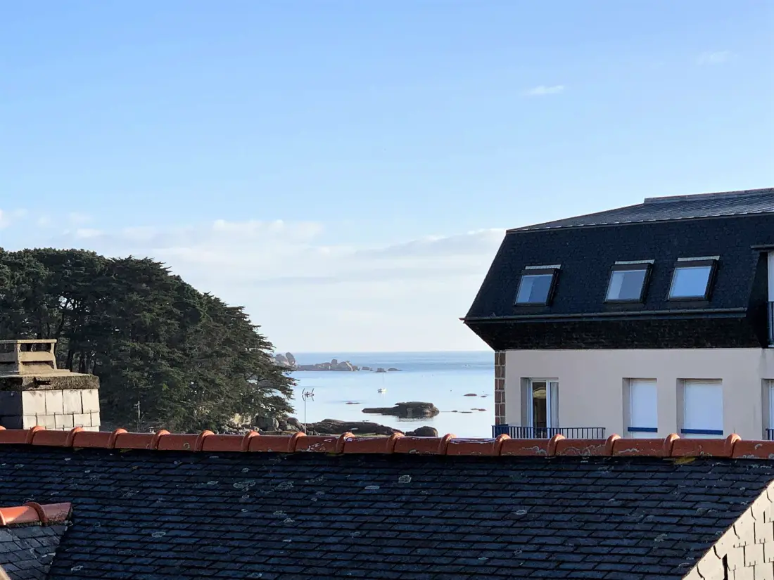 Location de Vacances TREGASTEL 143