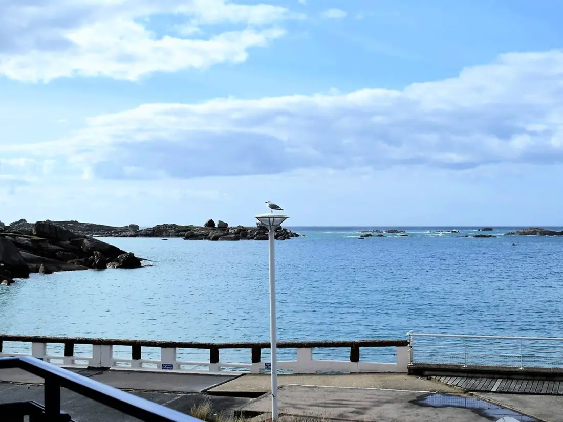 Location de Vacances TREGASTEL 26