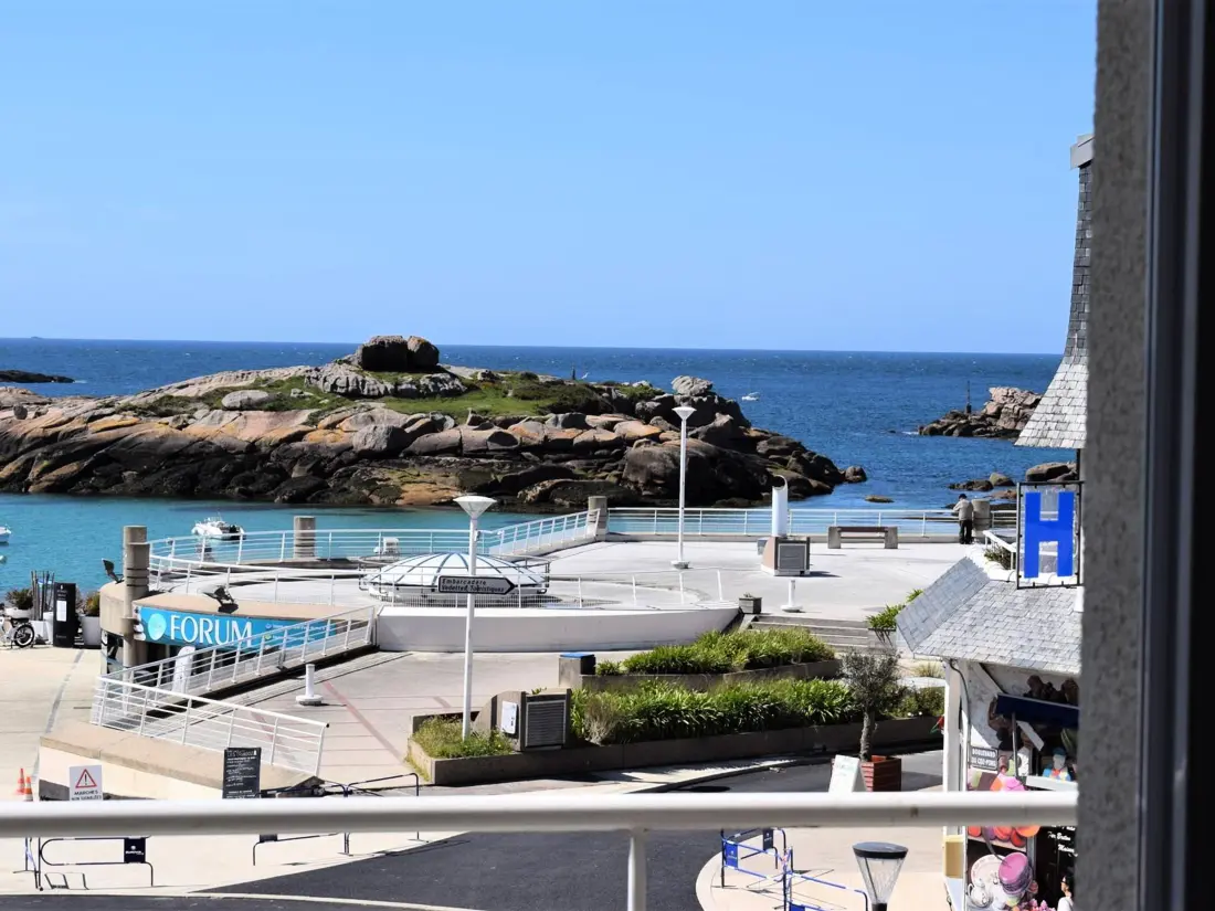 Location de Vacances TREGASTEL 9