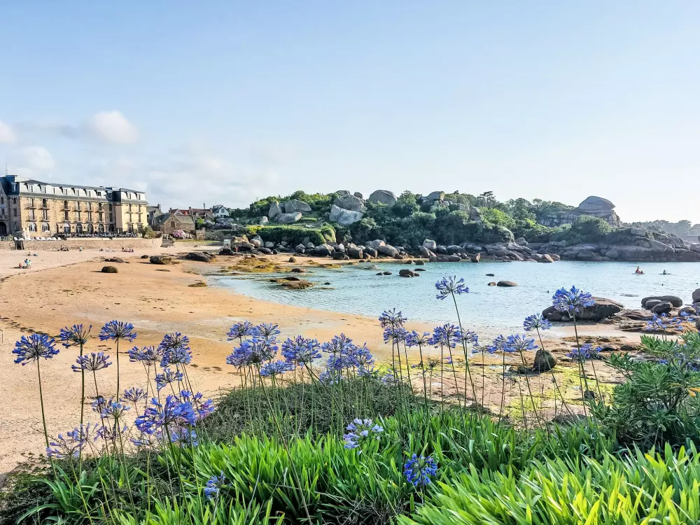 Maison de Vacances Trégastel