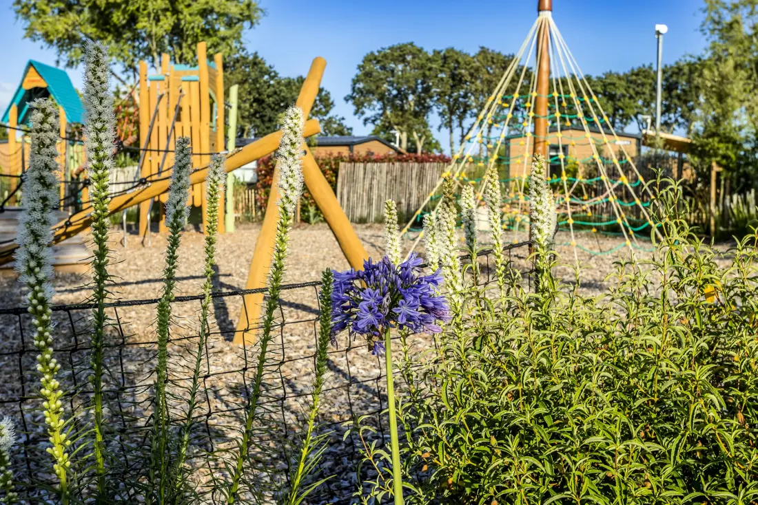 Flower Camping Domaine de Pendruc 4 étoiles★★★★