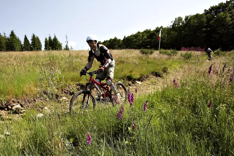 Camping Flower La Plage Location Treignac