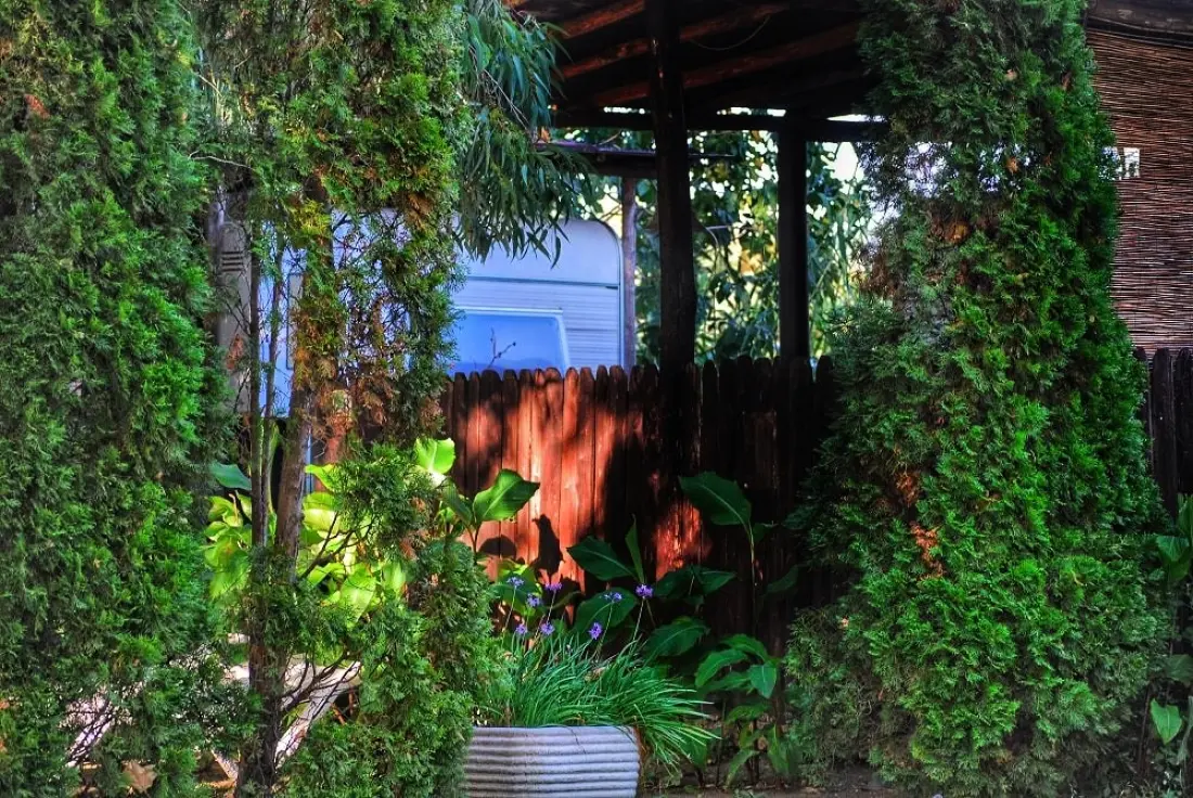 INTERNATIONAL GLAMPING LAGO DI BRACCIANO 3 étoiles★★★