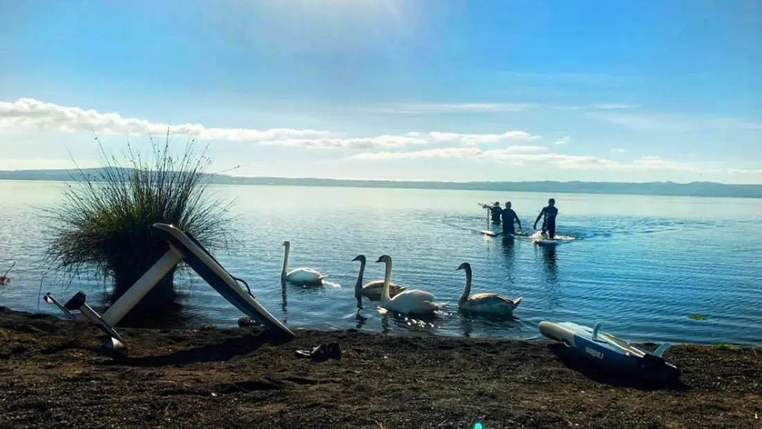 INTERNATIONAL GLAMPING LAGO DI BRACCIANO 3 étoiles★★★