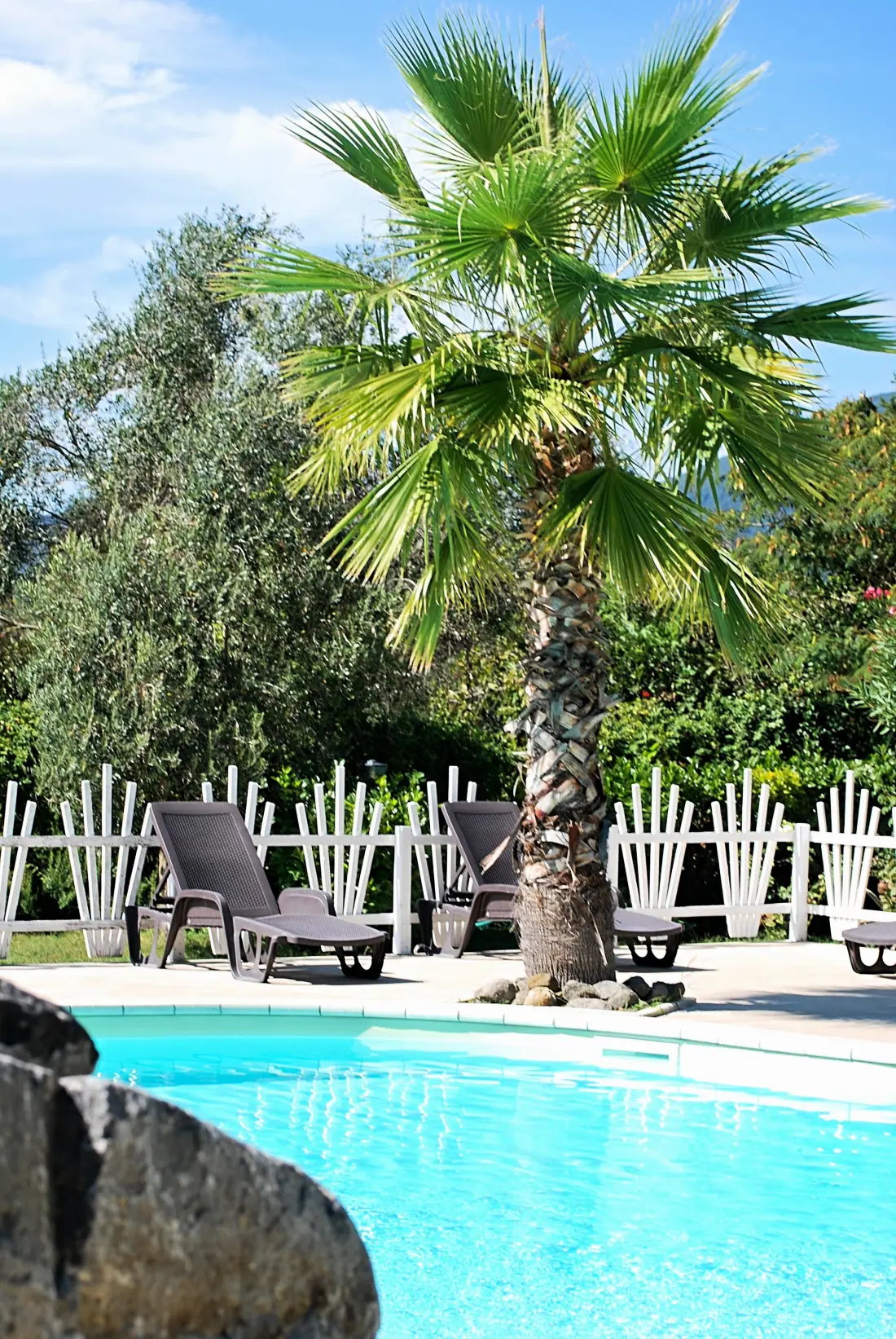 INTERNATIONAL GLAMPING LAGO DI BRACCIANO 3 étoiles★★★