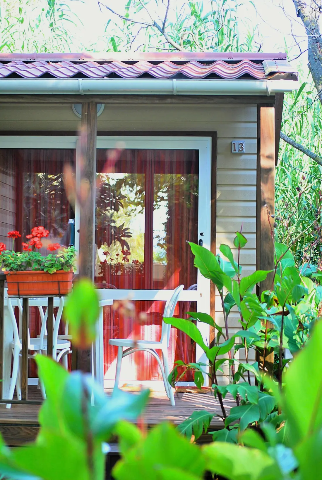 INTERNATIONAL GLAMPING LAGO DI BRACCIANO 3 étoiles★★★