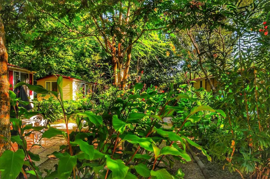 INTERNATIONAL GLAMPING LAGO DI BRACCIANO 3 étoiles★★★