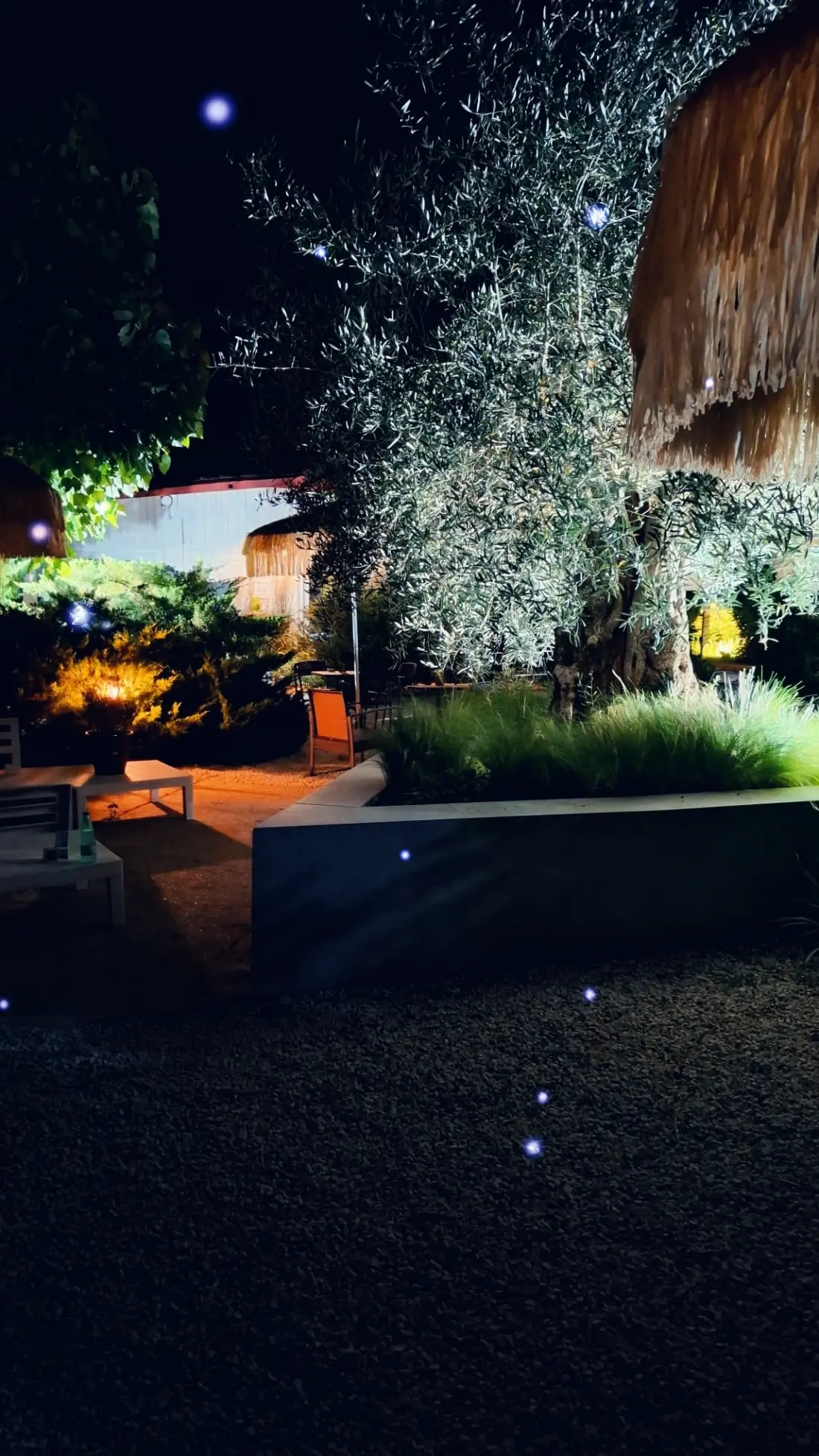 INTERNATIONAL GLAMPING LAGO DI BRACCIANO 3 étoiles★★★