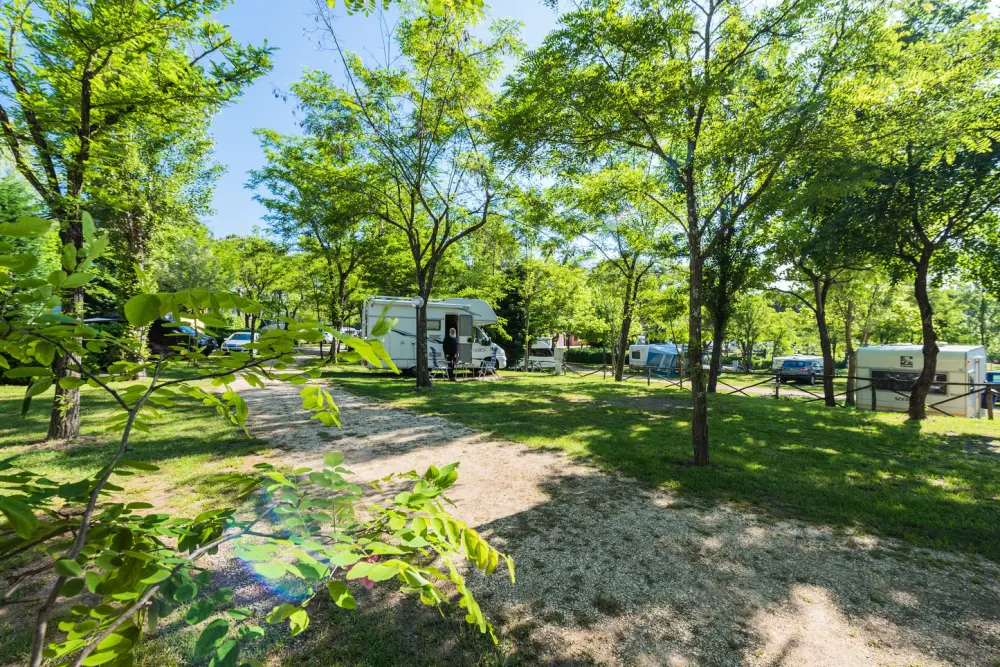 Camping Village Il Poggetto 3 étoiles★★★