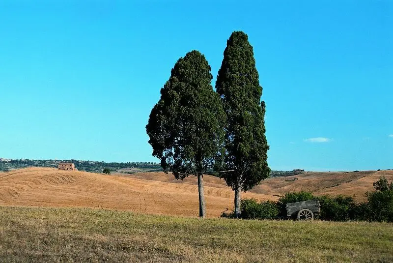 Camping Village Il Poggetto 3 étoiles★★★