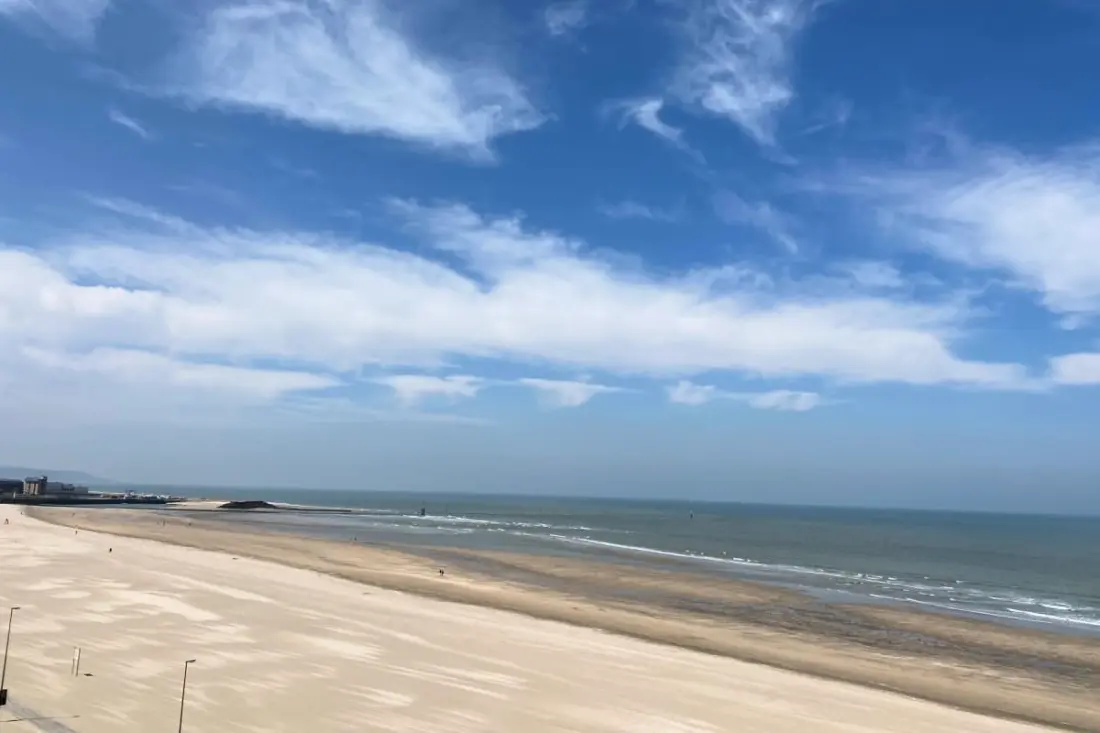 Jolie Perle Douillette Proche De La Mer