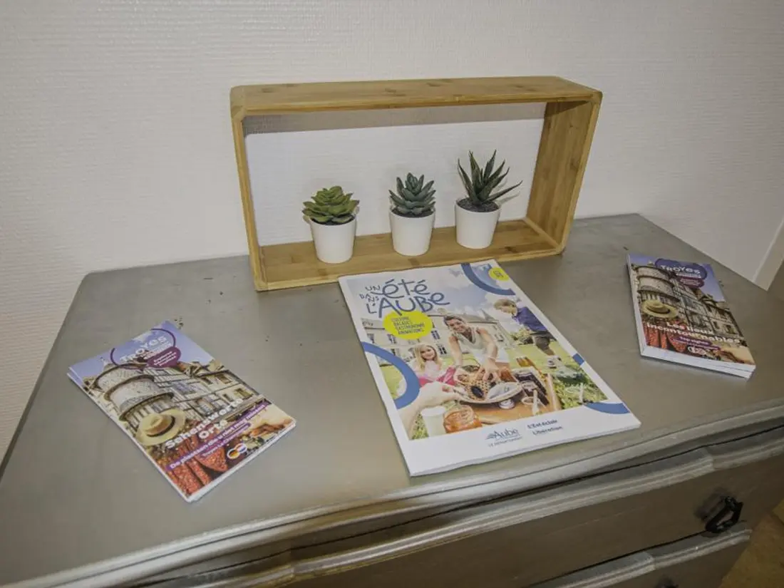 Location de Vacances Troyes 15
