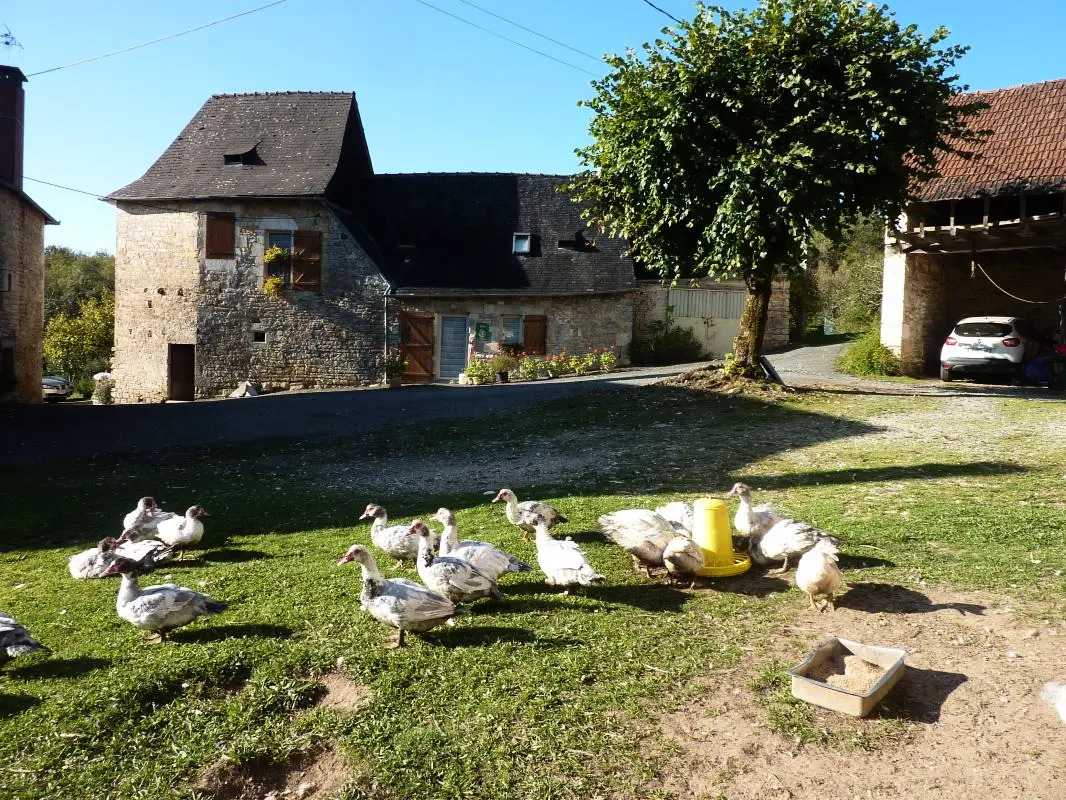 Gîte de France A l'orée des bois 3 épis