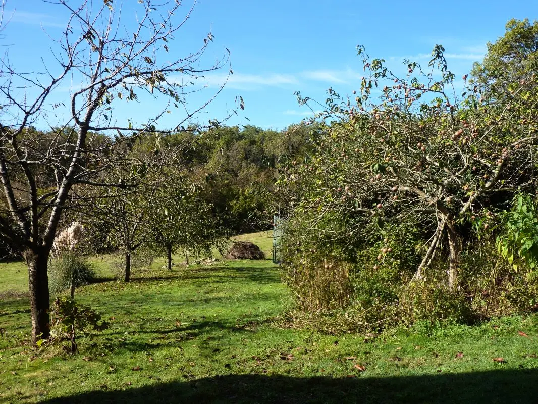 Gîte de France A l'orée des bois 3 épis