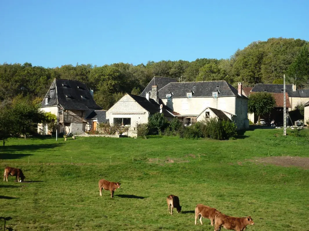 Gîte de France A l'orée des bois 3 épis