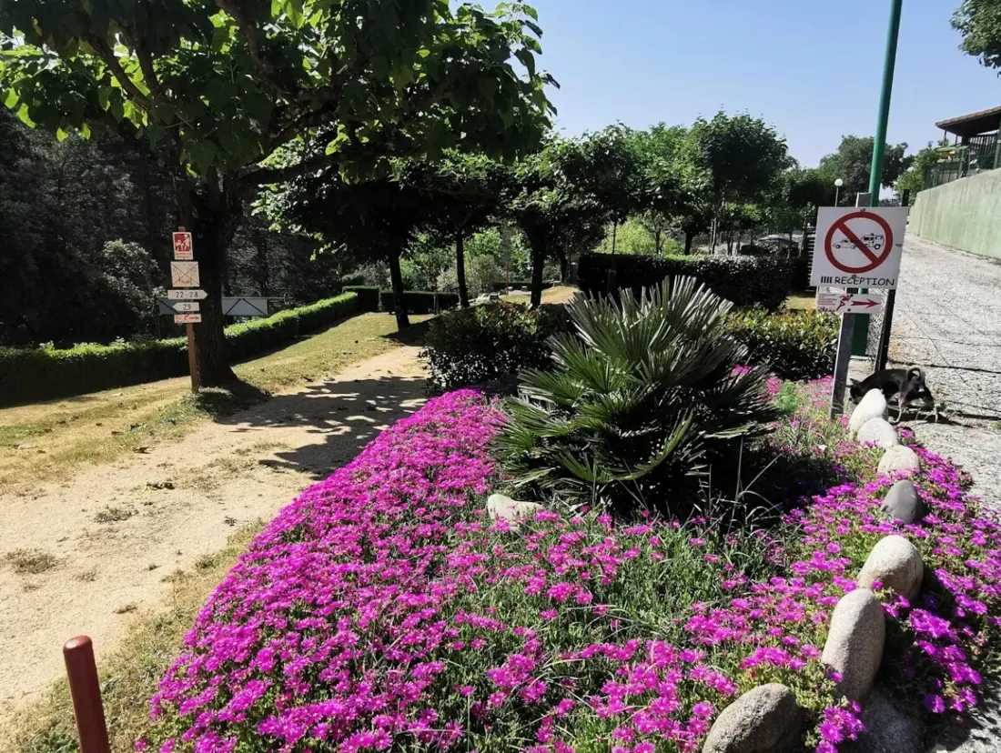 Ushuaïa Villages - Camping Les Pins d'Ucel 4 étoiles★★★★