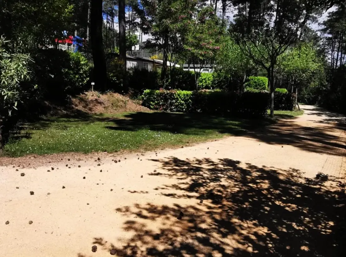 Ushuaïa Villages - Camping Les Pins d'Ucel 4 étoiles★★★★