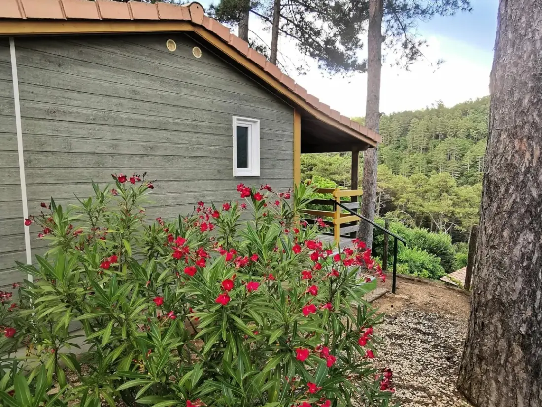 Ushuaïa Villages - Camping Les Pins d'Ucel 4 étoiles★★★★