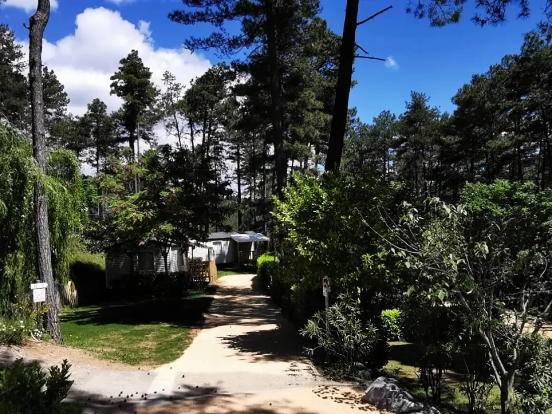 Ushuaïa Villages - Camping Les Pins d'Ucel 4 étoiles★★★★