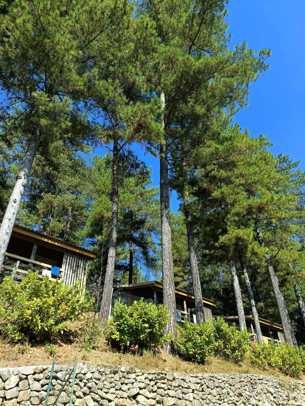 Ushuaïa Villages - Camping Les Pins d'Ucel 4 étoiles★★★★