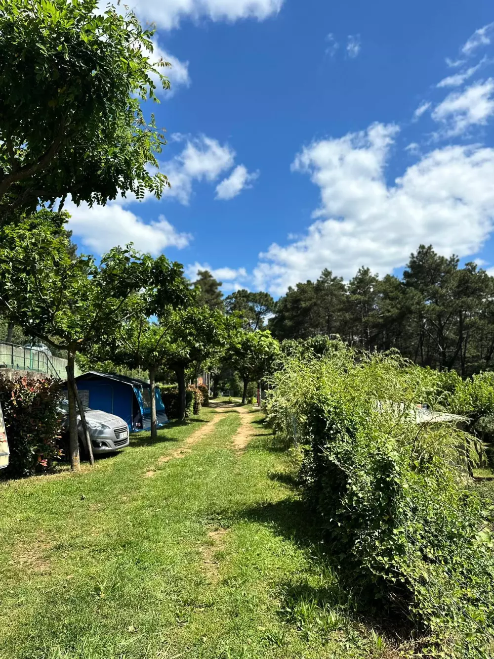 Ushuaïa Villages - Camping Les Pins d'Ucel 4 étoiles★★★★