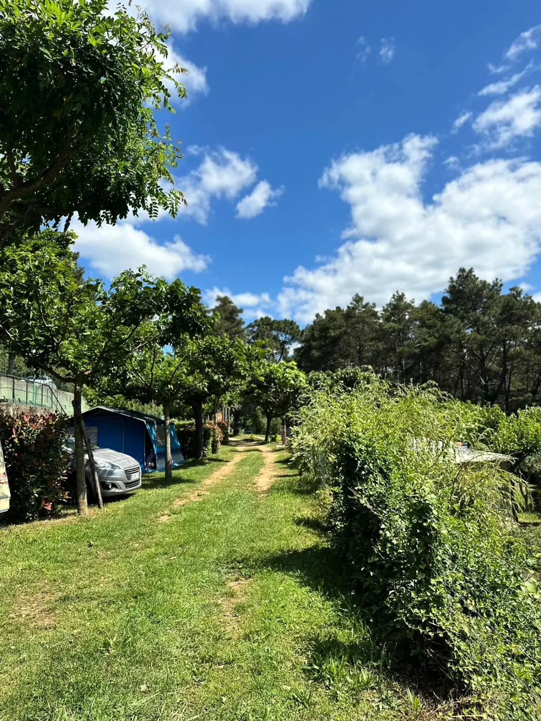 Ushuaïa Villages - Camping Les Pins d'Ucel 4 étoiles★★★★